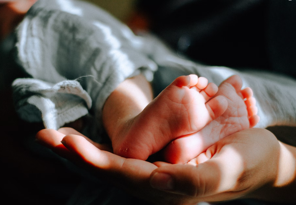 아기 머리 대두증 소두증 알아봅시다